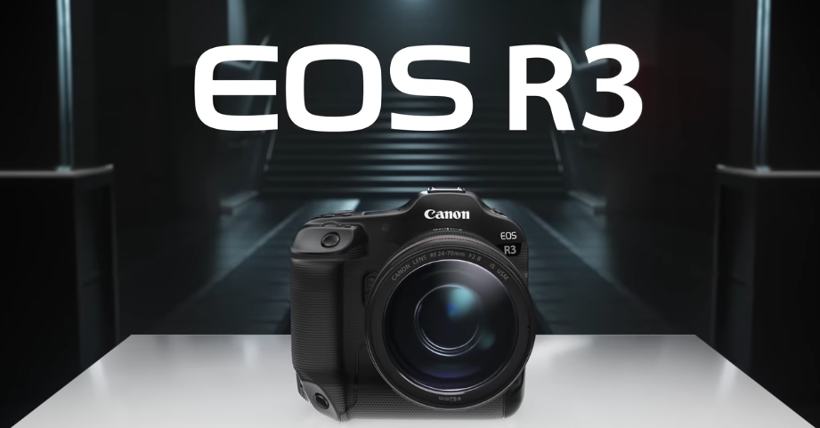 Canon EOS R3: A perfect camera for your wildlife adventure   