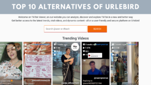 Top 10 Alternatives Of Urlebird