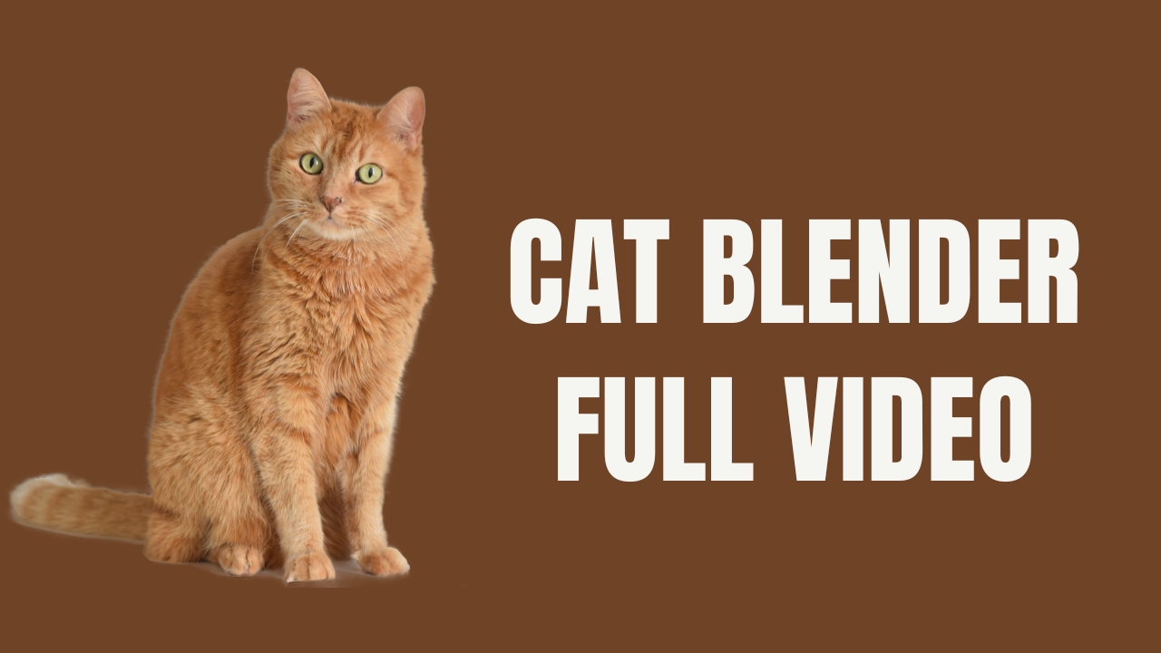 The Disturbing “Cat in a Blender” Video – Explained