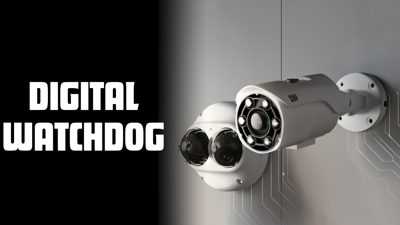 Digital Watchdog: Enhancing Your Security