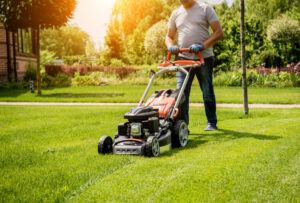 The Green Difference: A Comprehensive Guide to Residential and Commercial Lawn Care