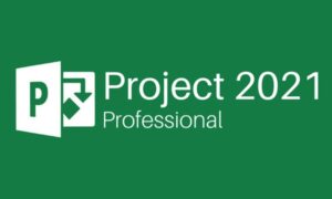 What is Microsoft Project Professional 2021? Uses, Features, and Pricing