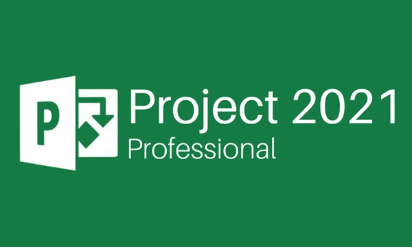 What is Microsoft Project Professional 2021? Uses, Features, and Pricing