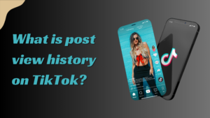 What is post view history on TikTok?